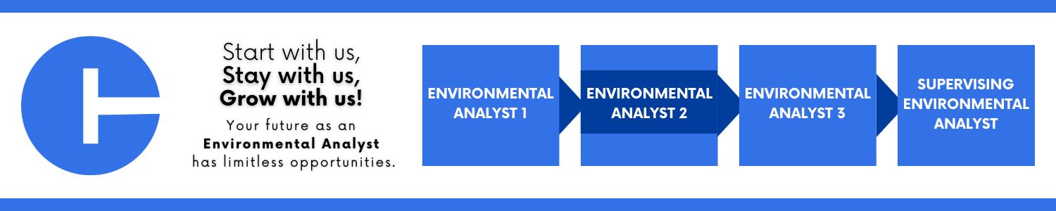 Career progression within the State of Connecticut: starting with Environmental Analyst 1, advancing to Environmental Analyst 2 (This cell is highlighted), then Environmental Analyst 3, and ending at Supervising Environmental Analyst.